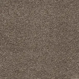 Glory - 45 5-Meter Breit Teppichboden