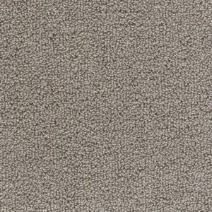 Pride - 95 5-Meter Breit Teppichboden