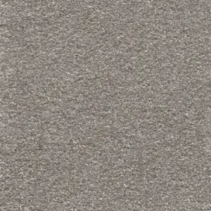 Victory - 49 5-Meter Breit Teppichboden