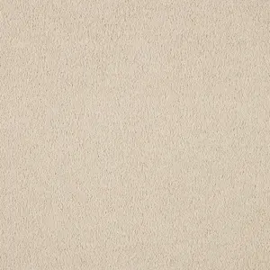 Vibes, Vivendi - 33 5-Meter Breit Teppichboden