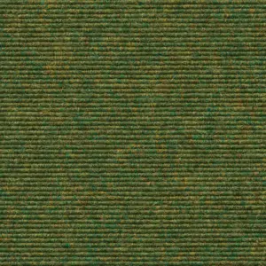 Ever - 556 - Farn 2-Meter Breit Teppichboden