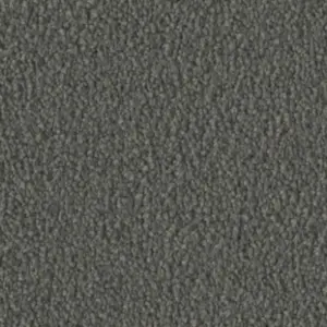 Fascination, Violetta - 55A0 4-Meter Breit Teppichboden