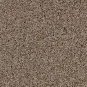 SmartStrand - 0430 SABLE 4-Meter Breit Teppichboden