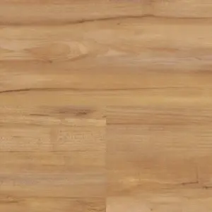 Wineo 800 wood zum Klicken - Honey Warm Maple Klick-Vinyl