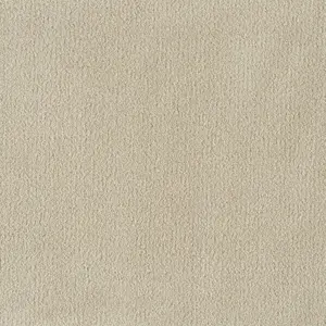 X Wohnen - 0260 CAMEL 5-Meter Breit Teppichboden