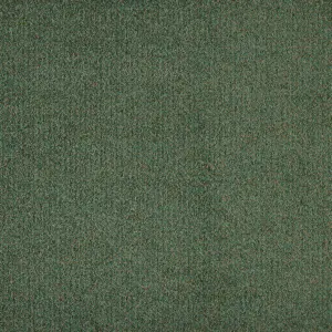 X Wohnen - 0610 EFEU 4-Meter Breit Teppichboden