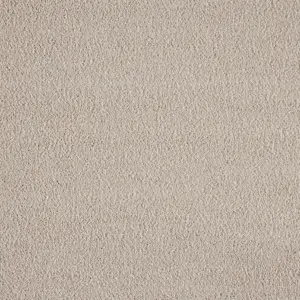 X Wohnen - 0240 RAHM 5-Meter Breit Teppichboden