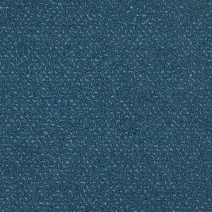 Pilotis - 772 SAPPHIRE 4-Meter Breit Teppichboden