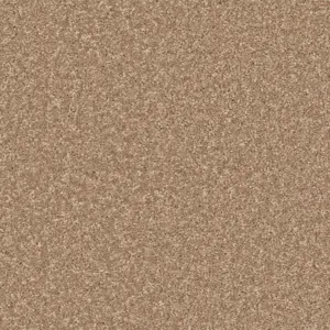 Lotus - 260 BEIGE 4-Meter Breit Teppichboden